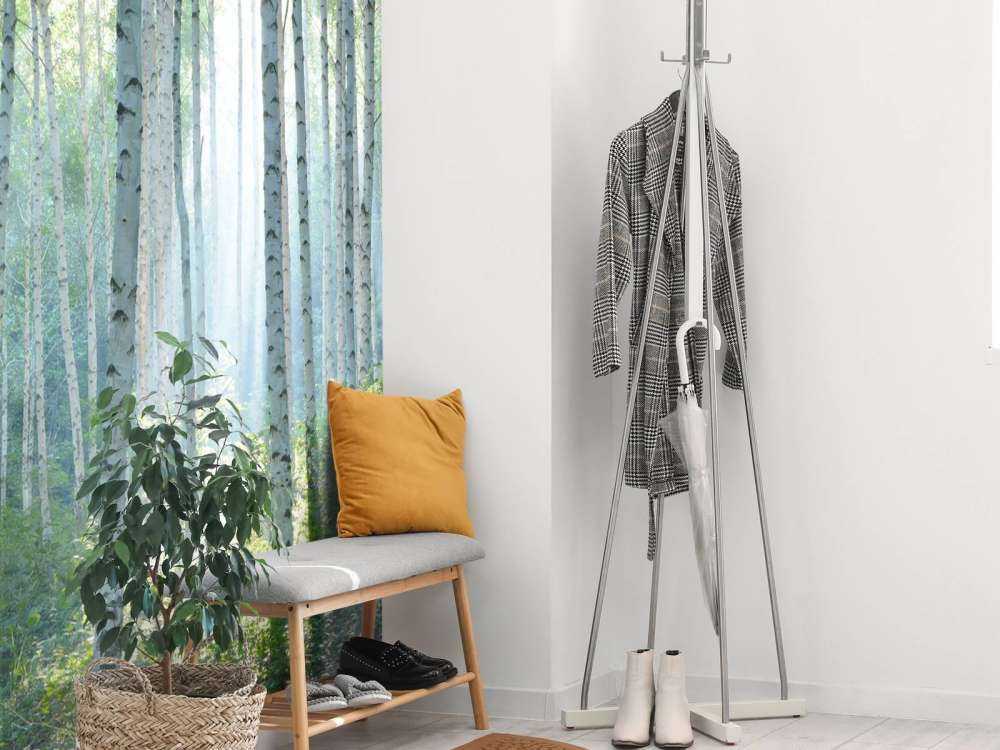 Berkenbos dans la lumière du matin