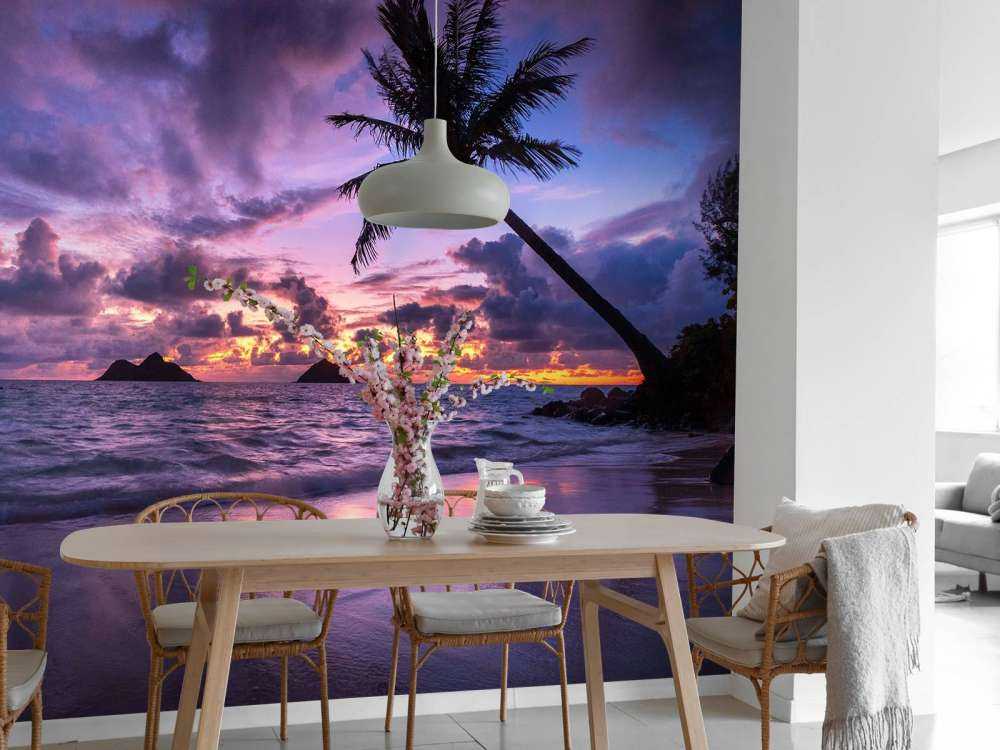 Côte tropicale au coucher du soleil violet