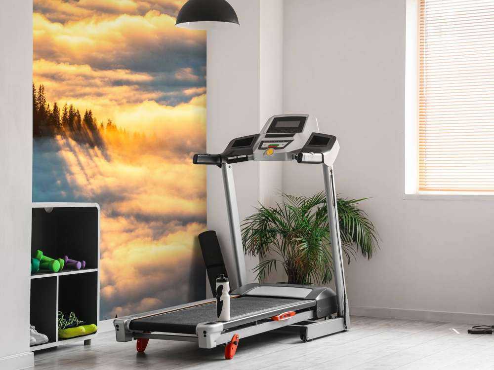 Lumière du soleil sur une forêt de montagne enneigée