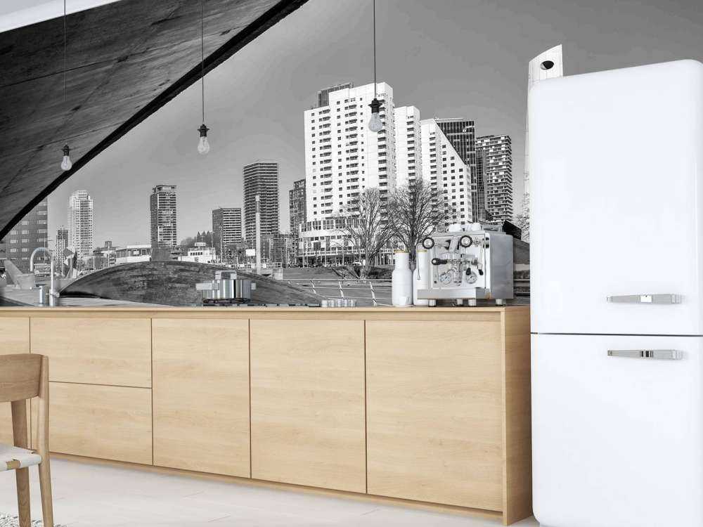 Skyline de Rotterdam sous le pont