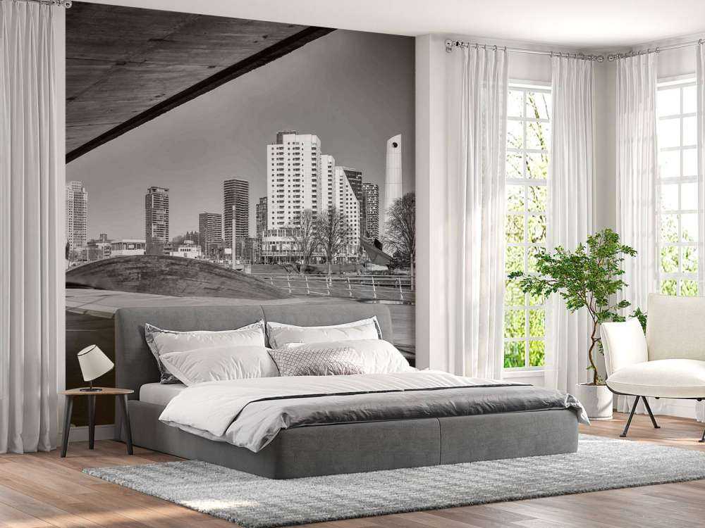 Skyline de Rotterdam sous le pont