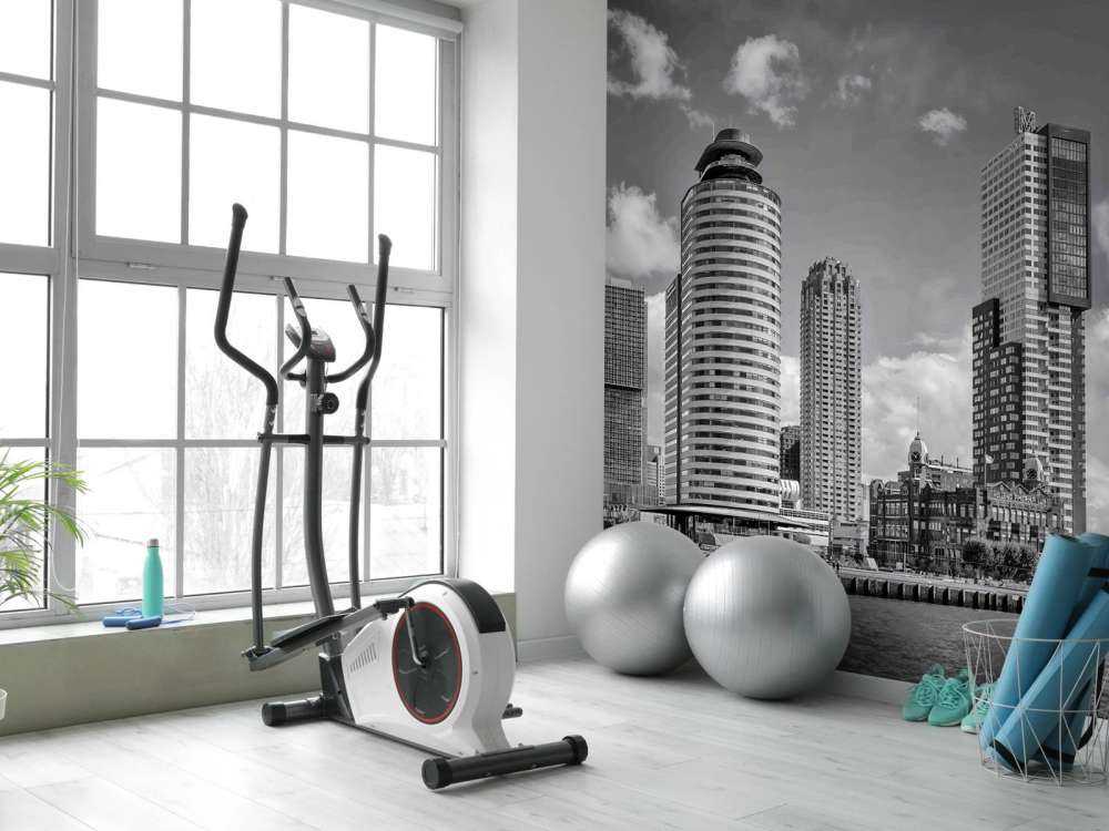 Contraste Noir-Blanc sur la Tête du Sud