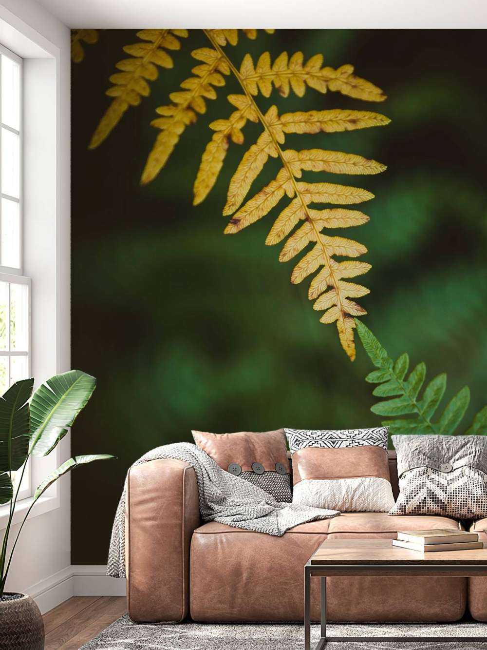 Rencontre des Saisons