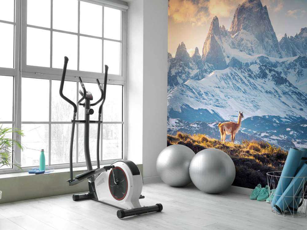 Guanaco près de sommets enneigés.