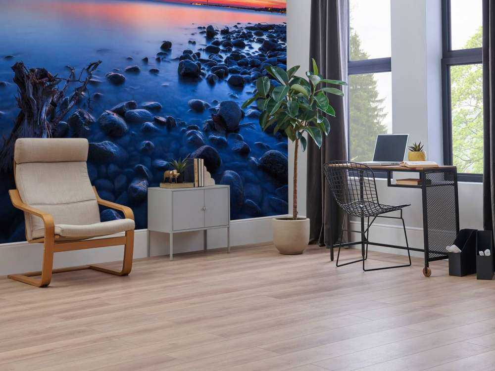 Rive boueuse à la lumière du soir.