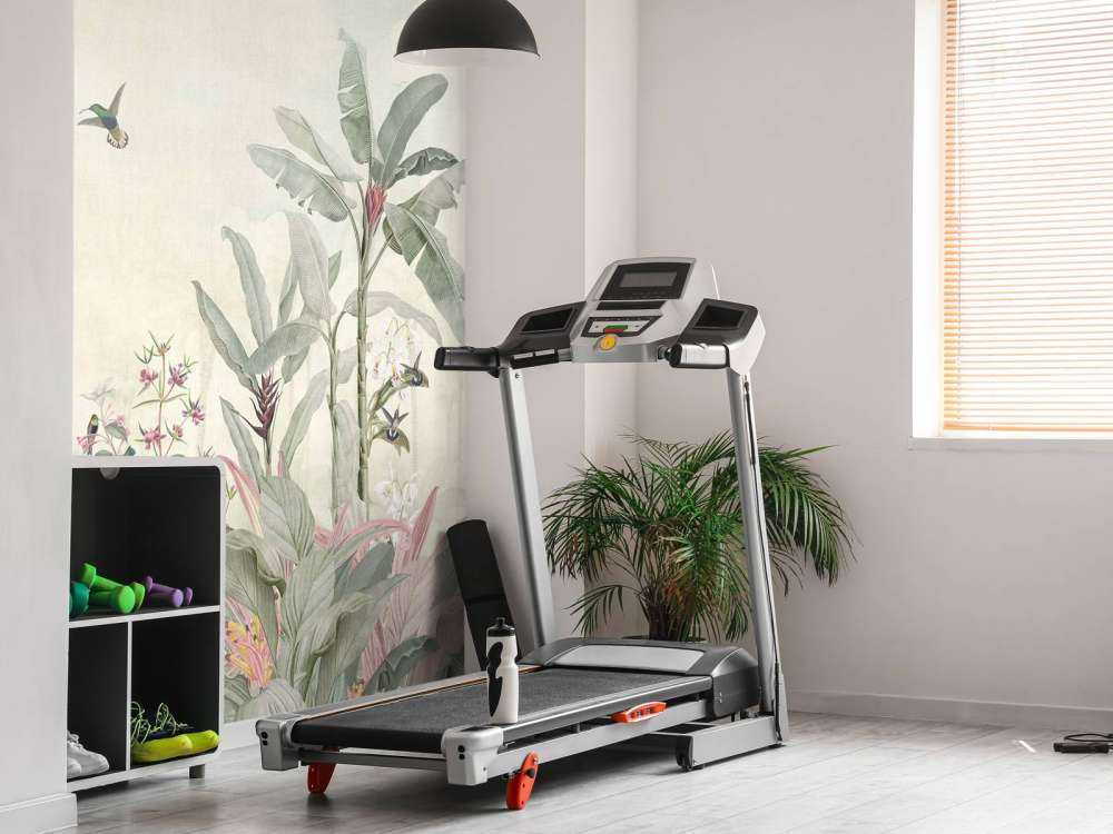 Colibris et feuilles tropicales