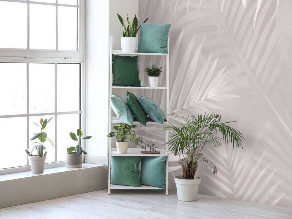 Feuilles de palmier brumeuses - rose