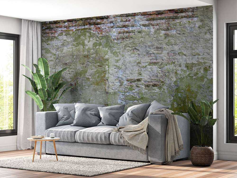 Mousse sur un vieux mur