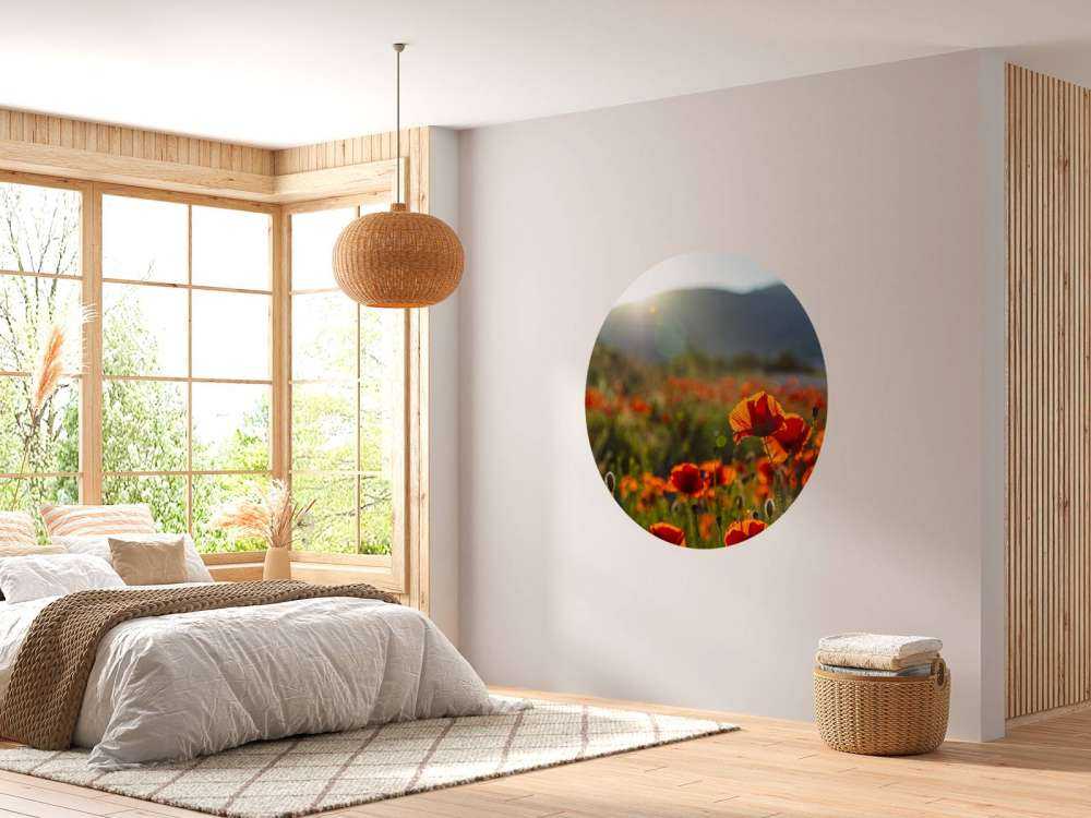 Coquelicots avec rayons de soleil