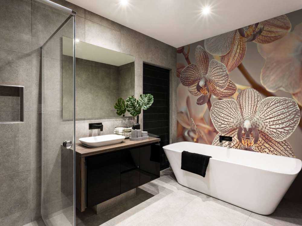 Gros plan d'orchidée