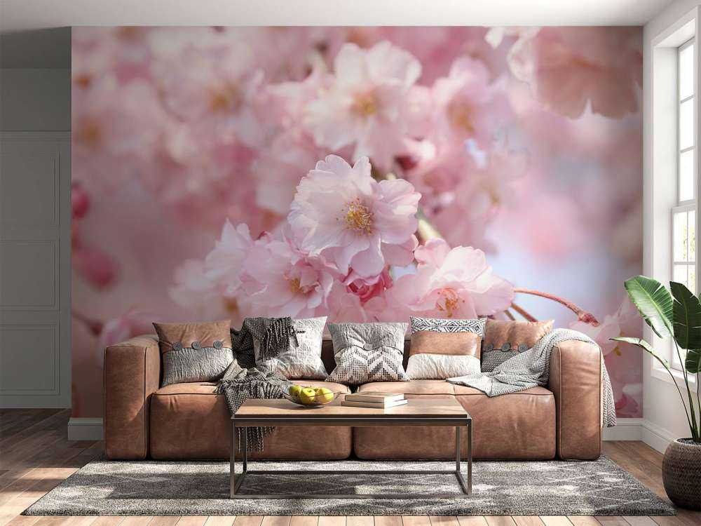 Gros plan sur des fleurs roses