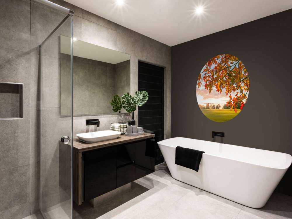 Arbre d'automne au coucher du soleil