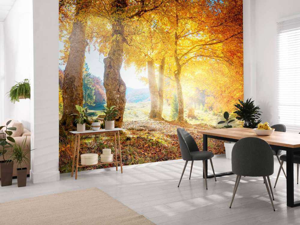 Chaleureux paysage d'automne