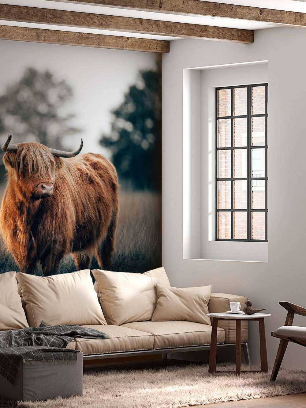 Portrait de Highlands