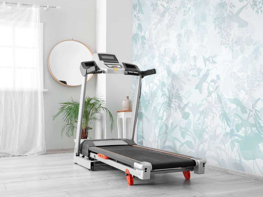 Symphonie de jardin en bleu