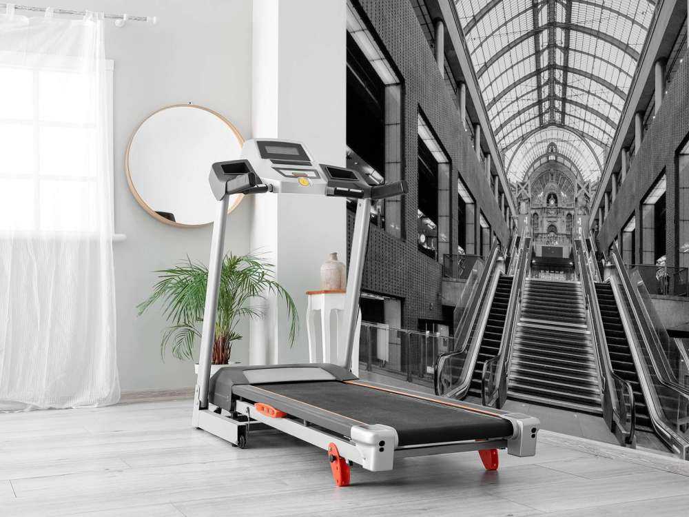 Gare centrale d'Anvers noir et blanc