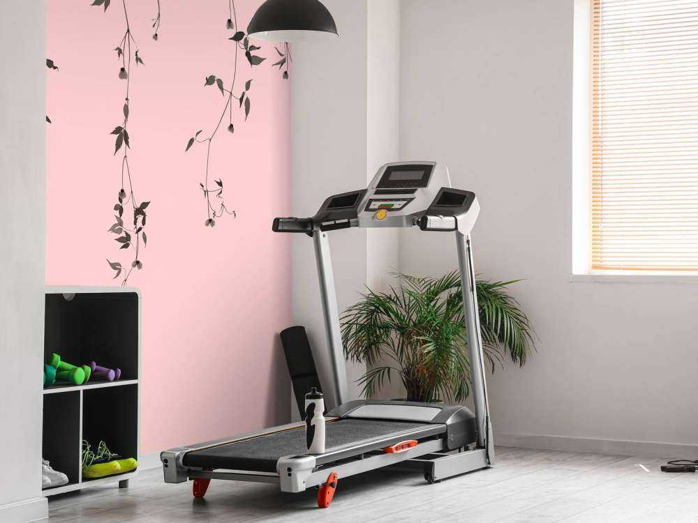 Brins de clématite rose