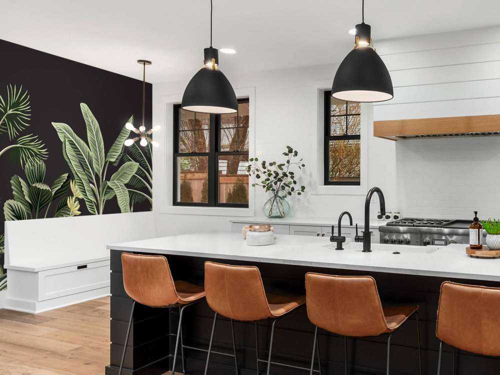 Palmier tropical sur fond sombre