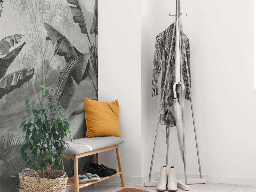 Bananiers en noir et blanc