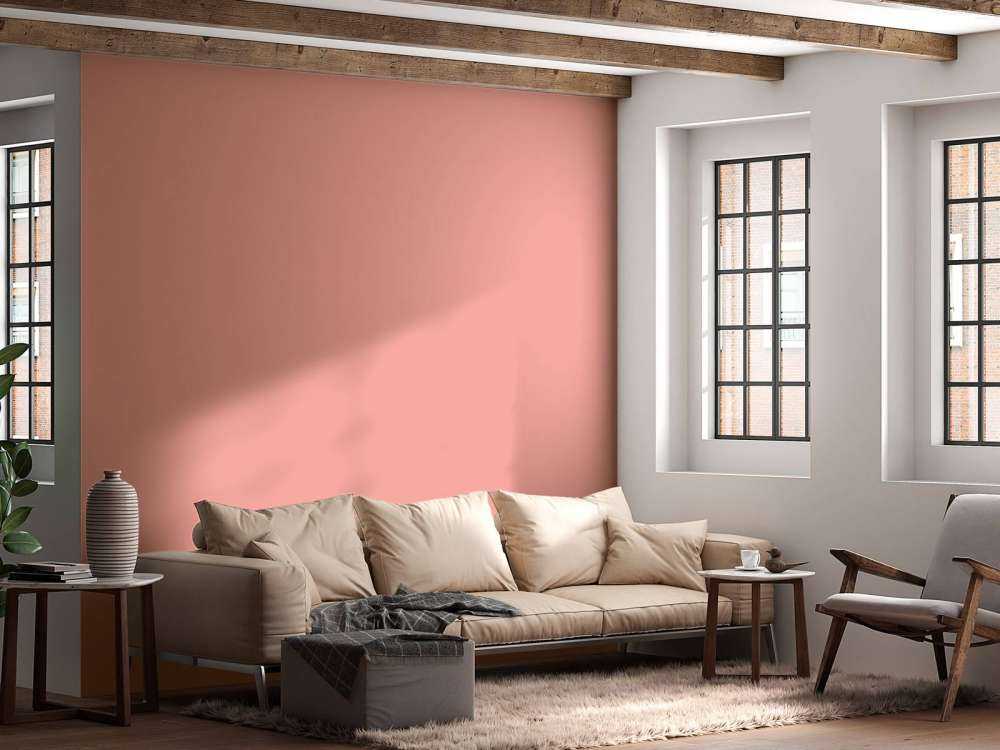 Rose pastel
