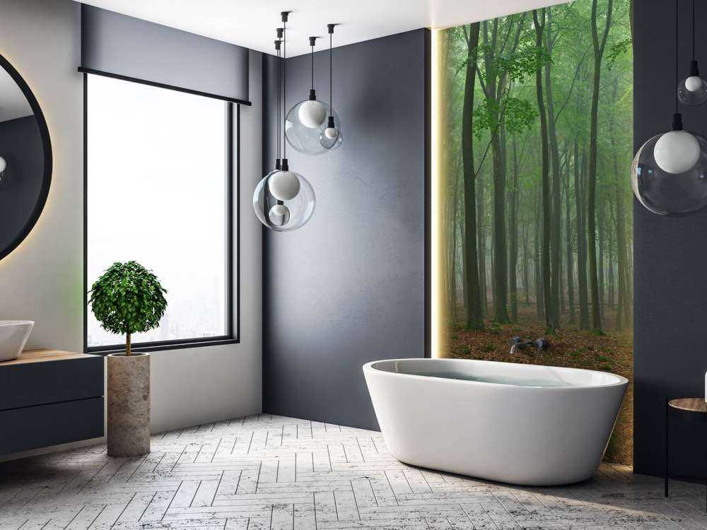 Brouillard dans la forêt