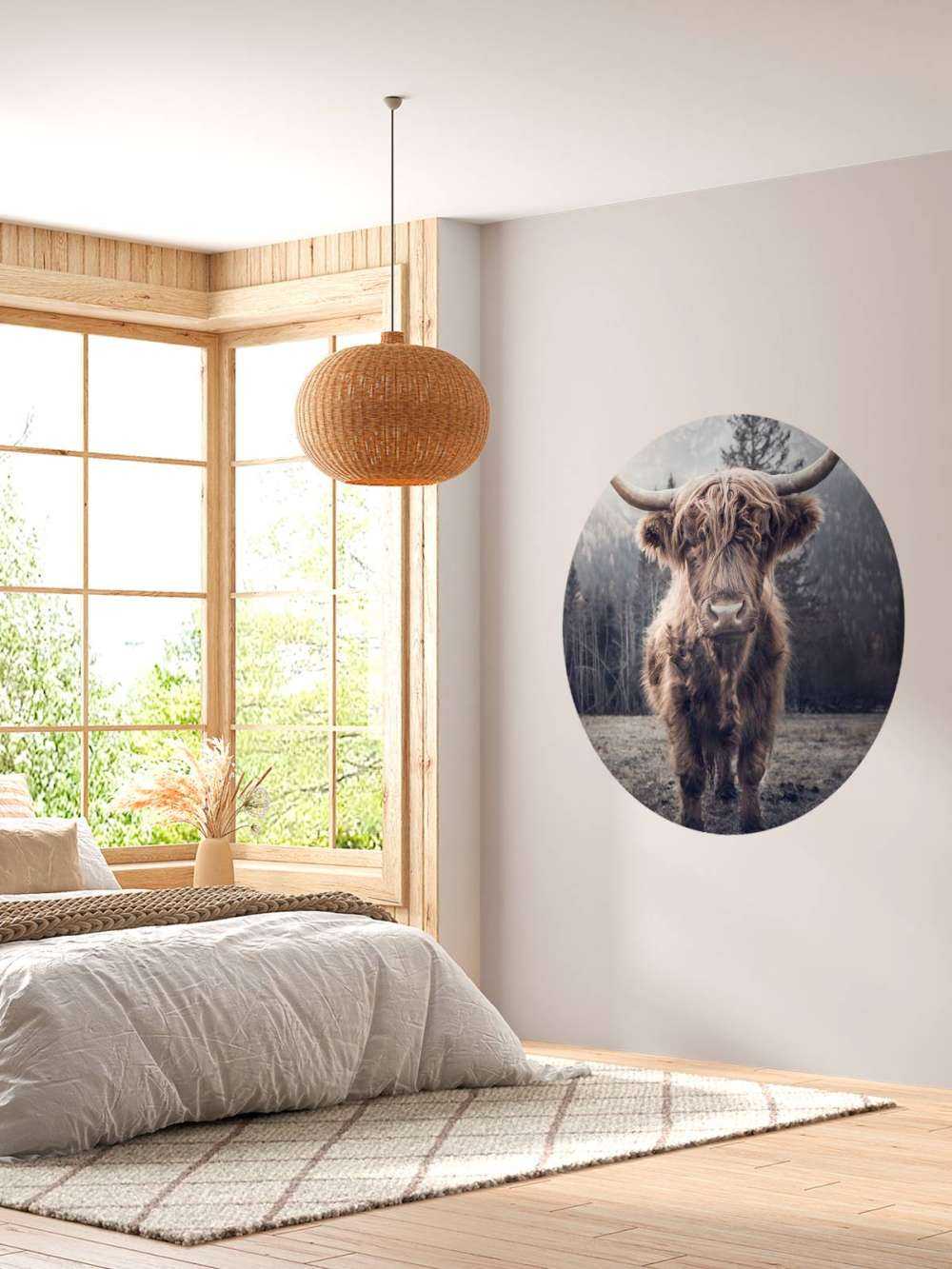 Le Highland écossais au bord de la forêt