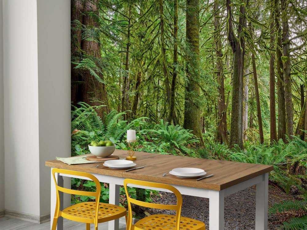 Sentier en pierres à travers la forêt