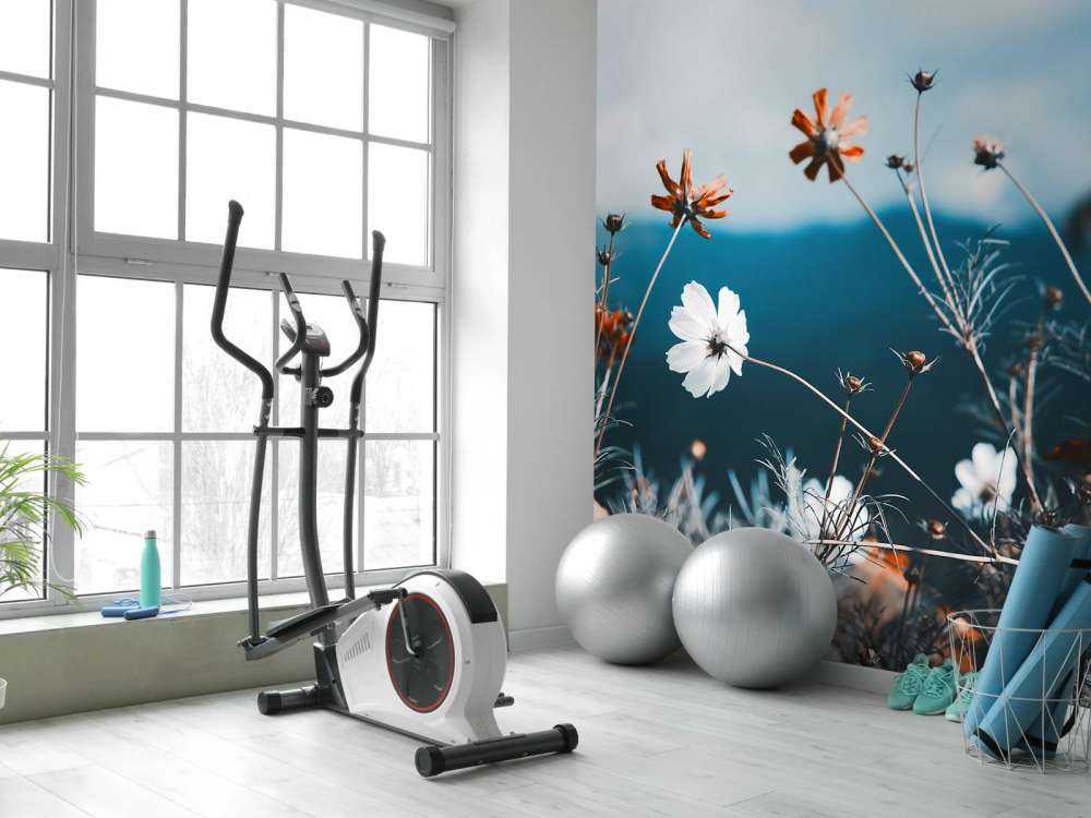 Le cosmos fleurit dans les champs