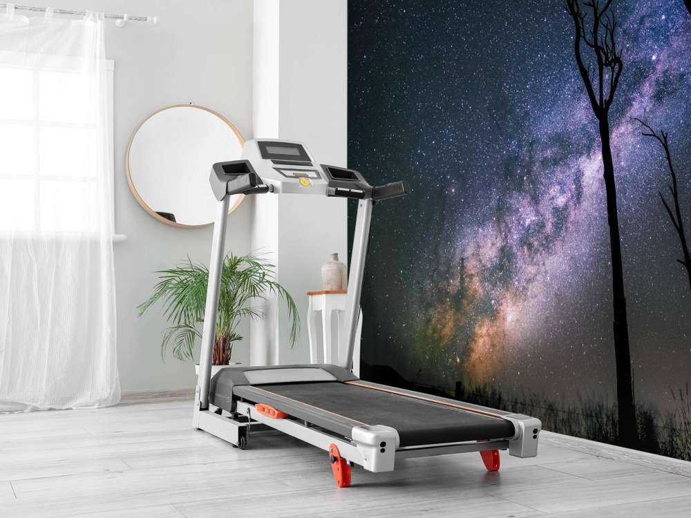 Des étoiles entre les arbres