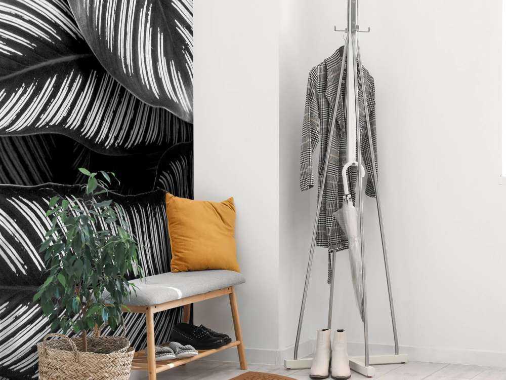 Feuilles de palmier noires et blanches