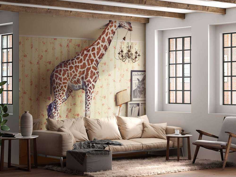 Girafe dans le salon