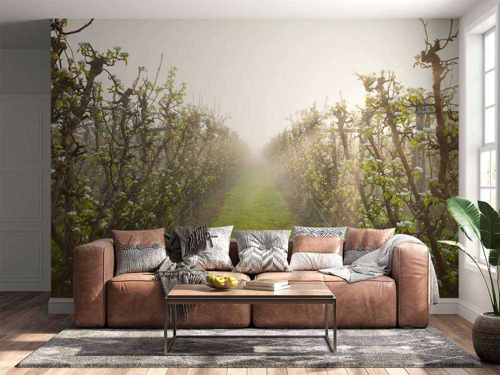 Fleur de poirier dans la brume