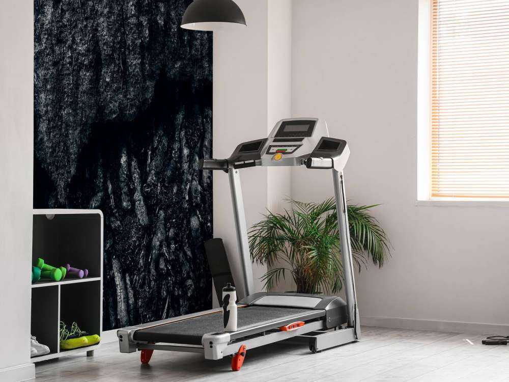 L'arbre, en noir et blanc