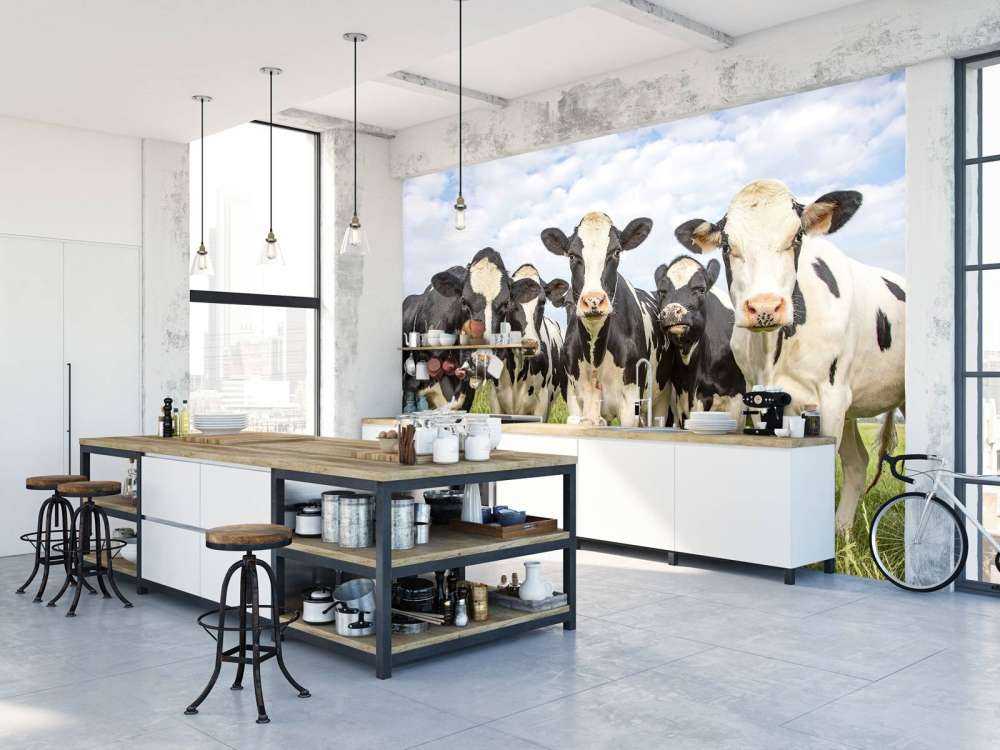 Troupeau de vaches