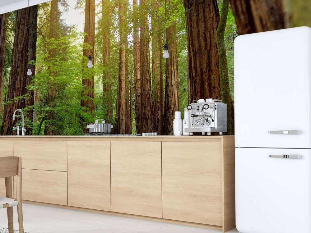 De grands arbres dans un parc