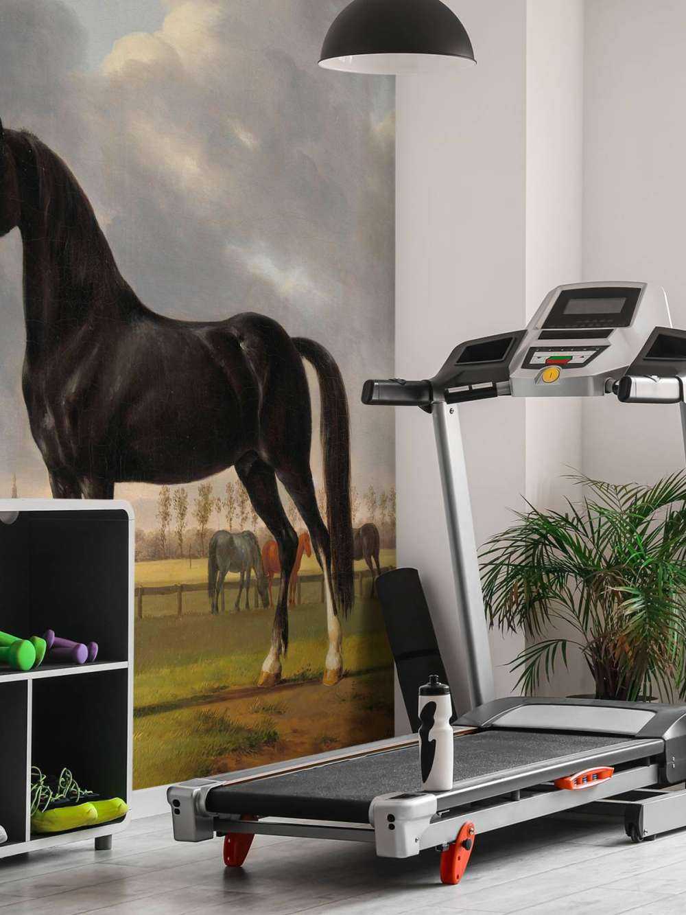 Photo fond d'écran cheval. Le bêcheur De Vlugge