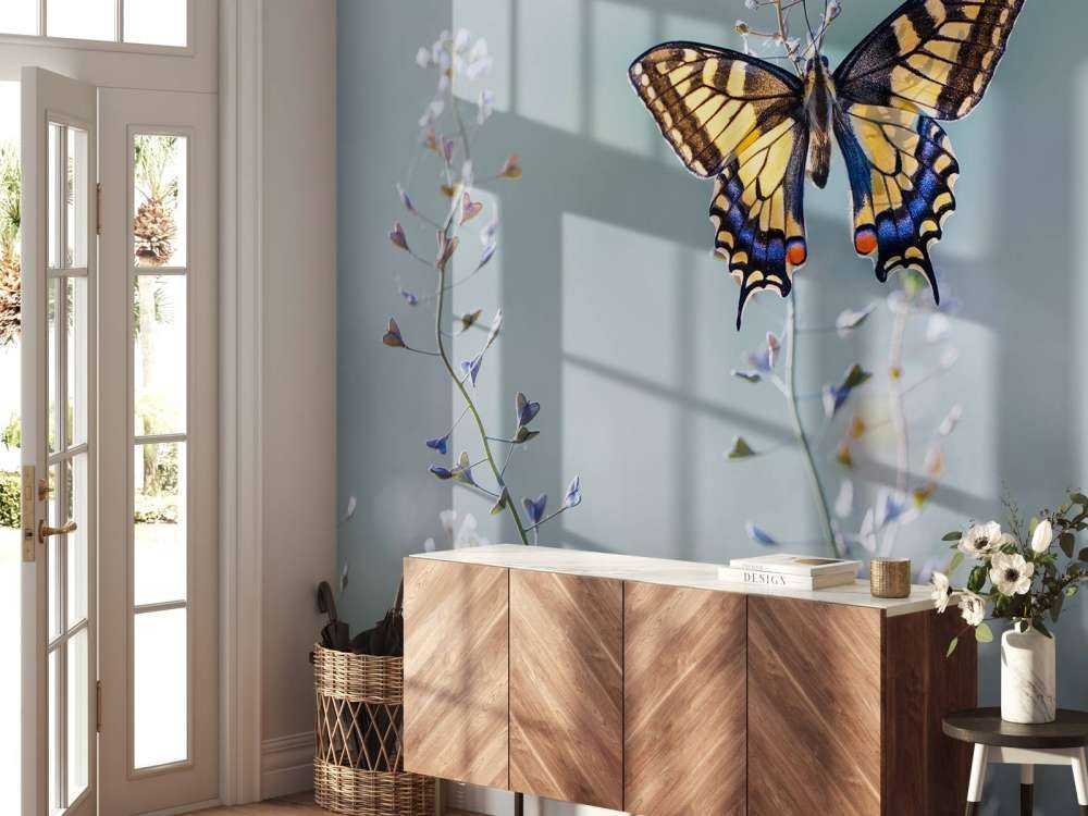 Swallowtail beauty