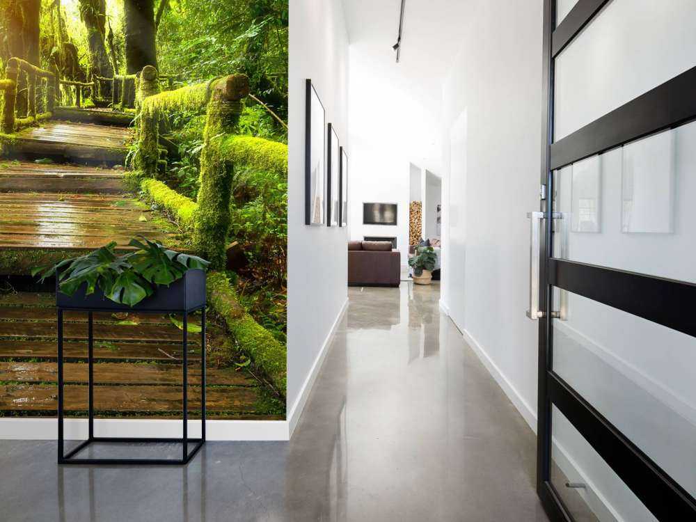 Grand escalier dans la jungle