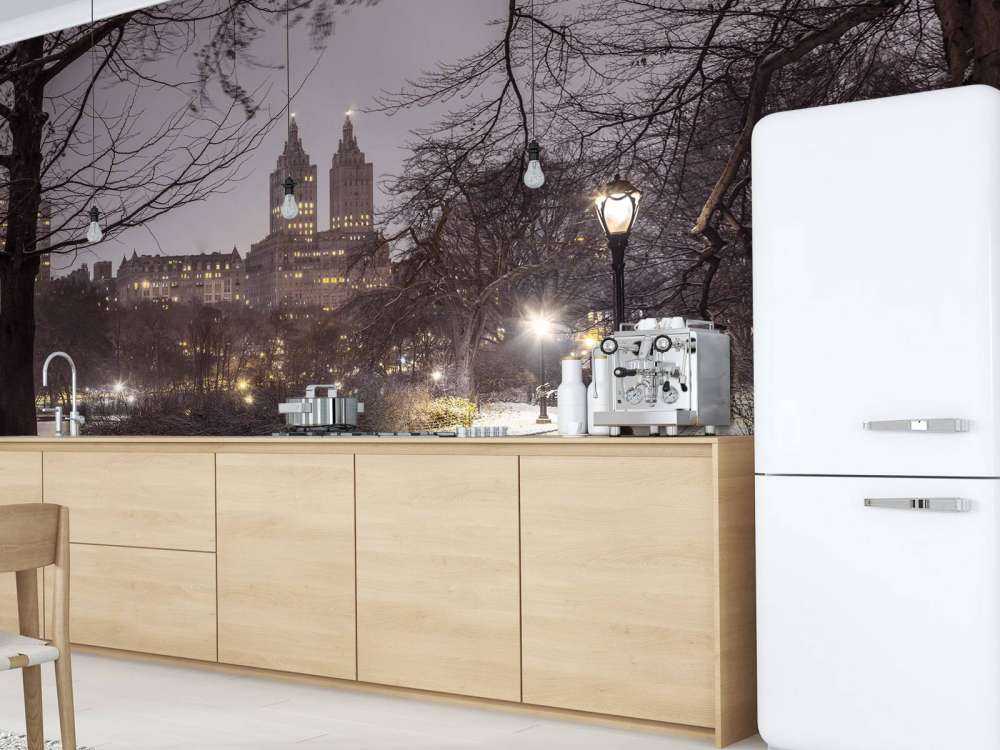 Central park couvert de neige