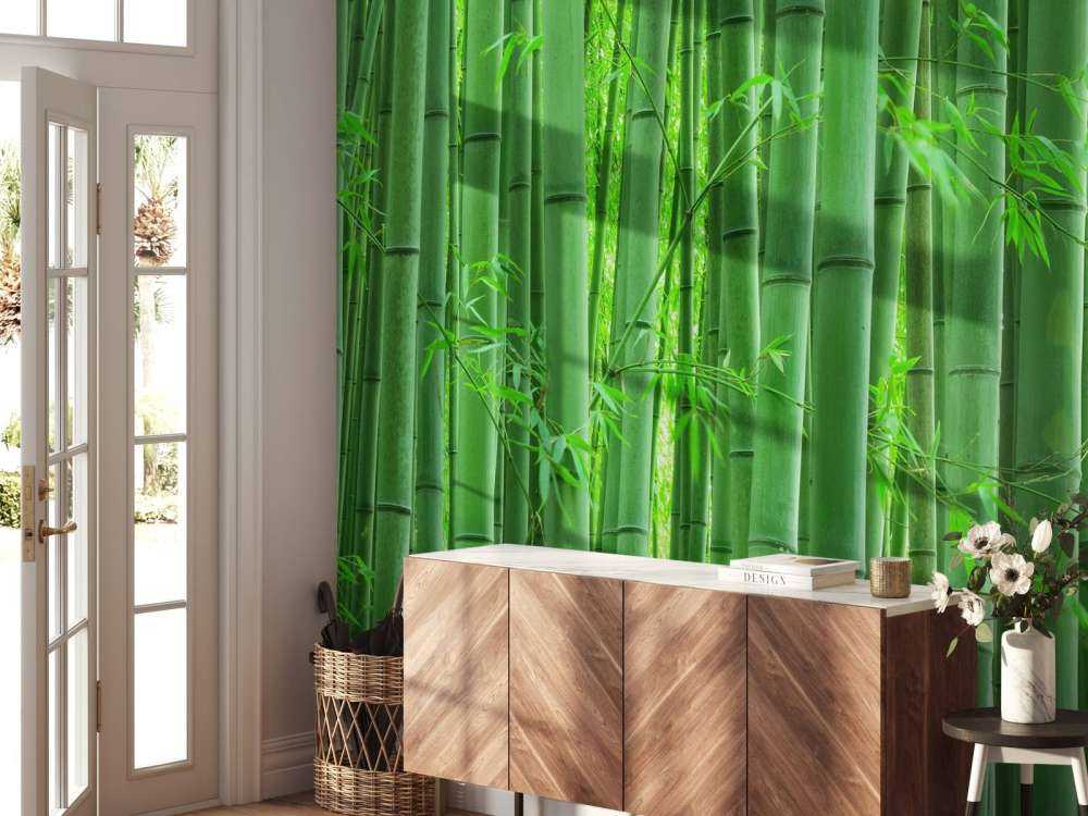 Gros plan sur une forêt de bambous