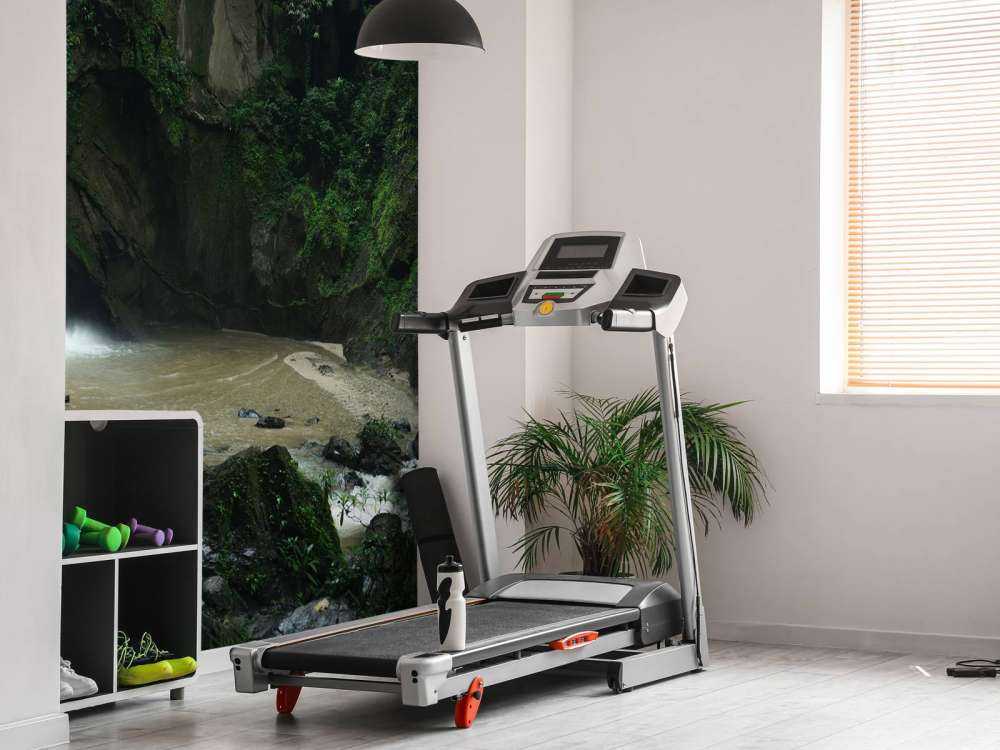 Chute d'eau dans une forêt profonde