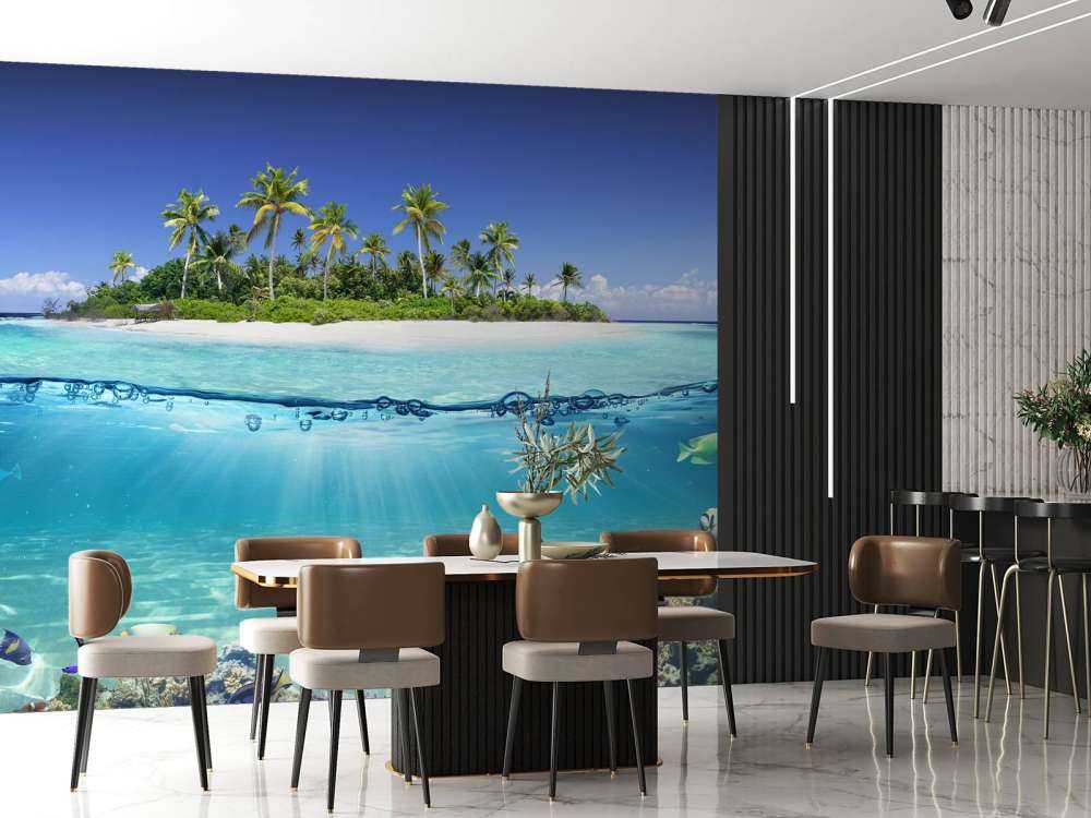 Île tropicale et récif corallien