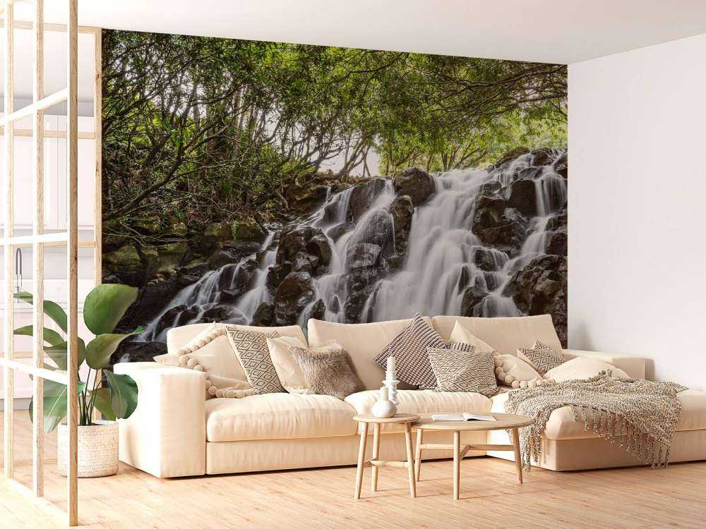 Chute d'eau à l'île Maurice