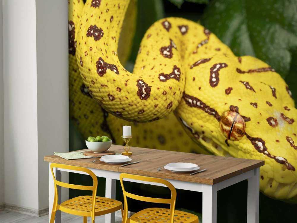 Gros plan sur un python arboricole