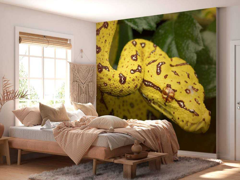 Gros plan sur un python arboricole