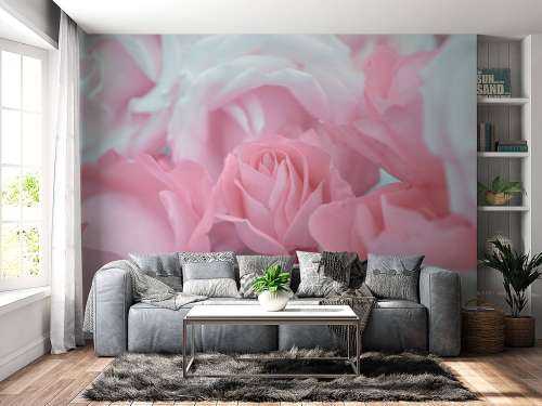 Fleurs de roses