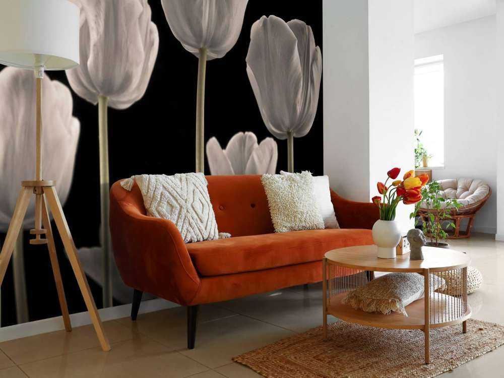 Différentes tulipes