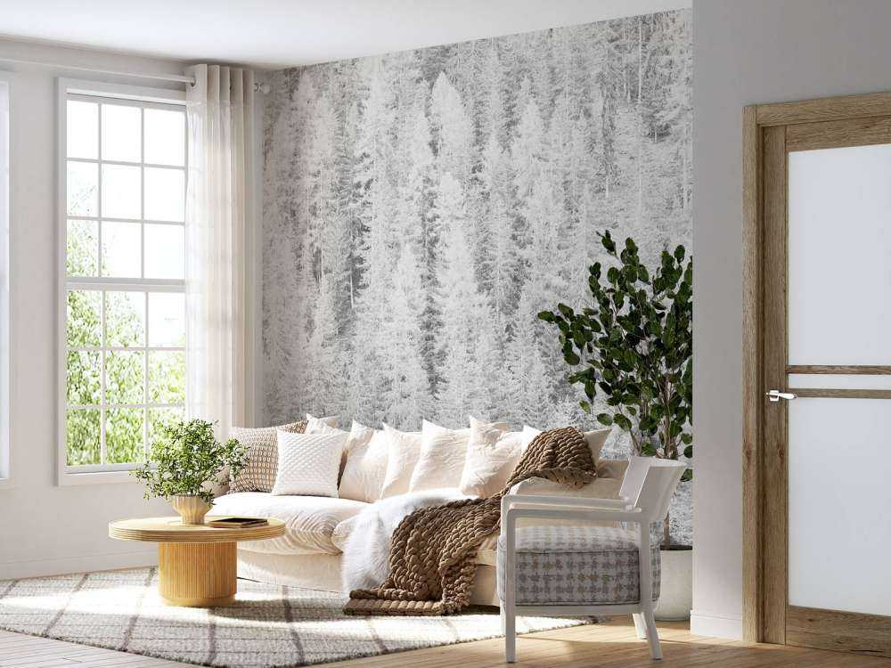 Les conifères en noir et blanc