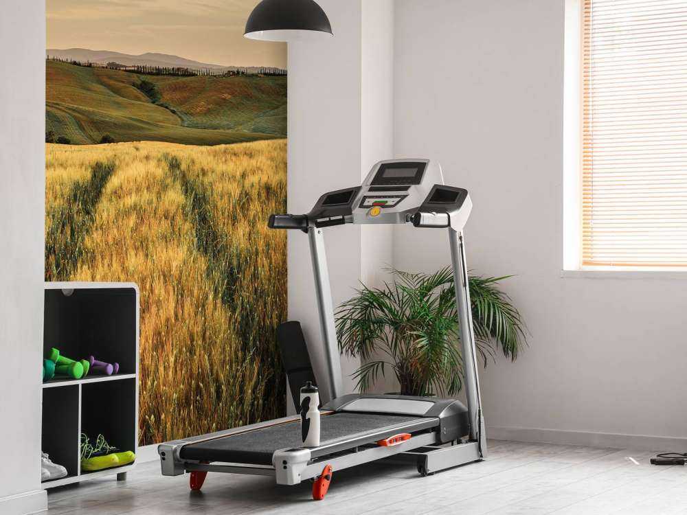 Champ de céréales avec traces