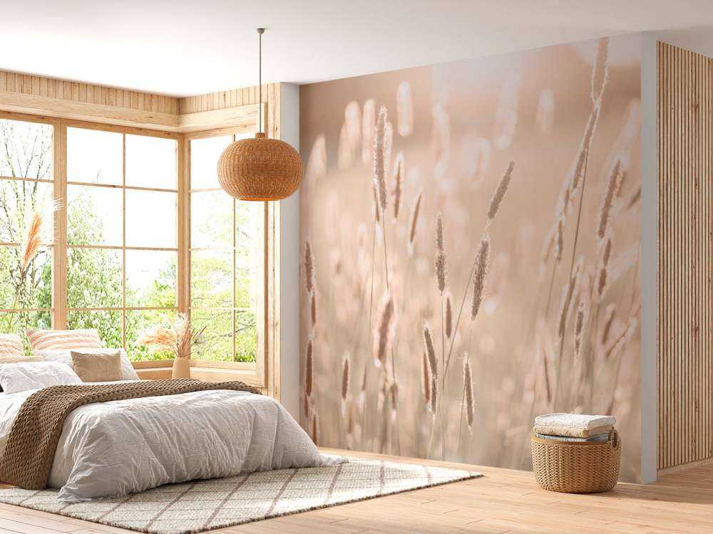 Lumière du soleil à travers la prairie